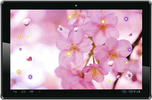 【免費個人化App】Sakura Flowers live wallpaper-APP點子