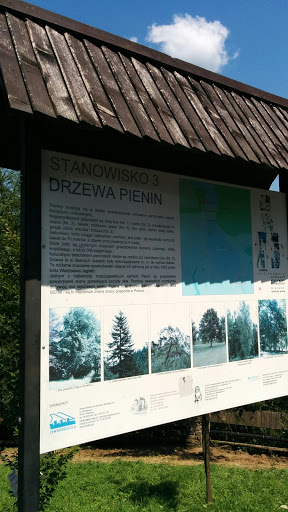 Informacja Turystyczna Drzewa Pienin