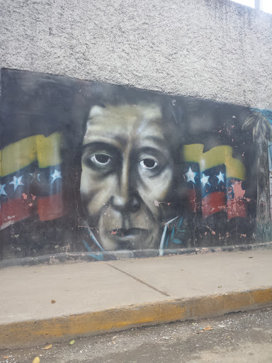 Graffitti El Luto De Bolivar
