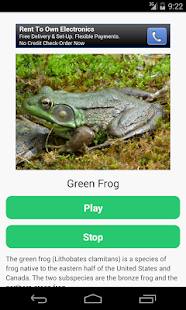 Free Frog Calls APK