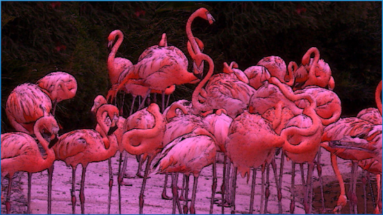 download Terbaik Abstrak Themes free