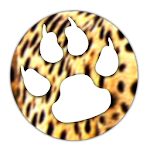 Wild Cheetah Theme Apk