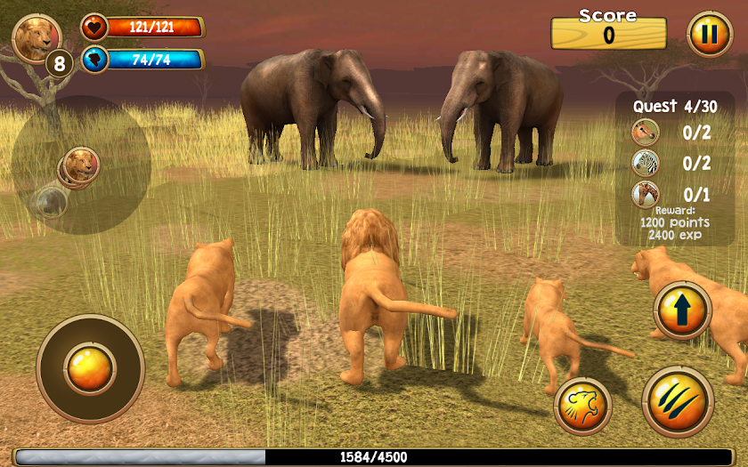 Wild Lion Simulator 3D Screen 2