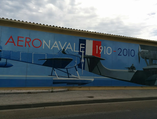 Aéronavale 1910-2010