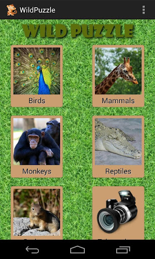 Wild Animal Puzzle Free