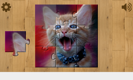 Cats and Kittens Puzzles poster 4