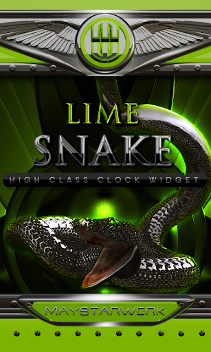 lime snake clock widget