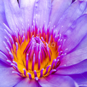 by Akiro Mahilom - Uncategorized All Uncategorized