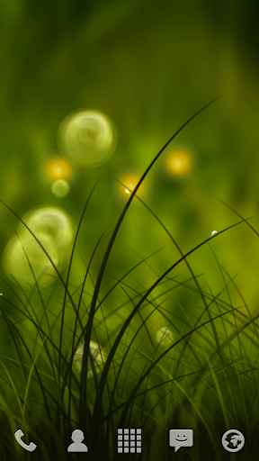 Colorful Summer Meadow Free