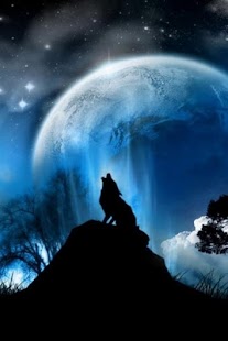 Wolf HD Wallpapers FREE Screenshots 8
