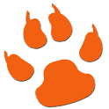Bengal Tracks logo