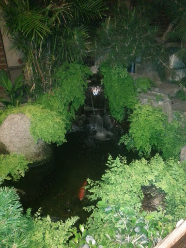 Tokyo Garden Pond
