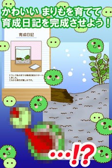 かわいい育成ゲーム 『まりまりも育成日記』のおすすめ画像5