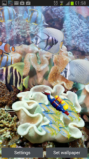 真正的水族馆HD(圖5)-速報App