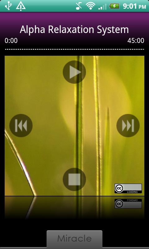 Alpha Relaxation System Screen 2