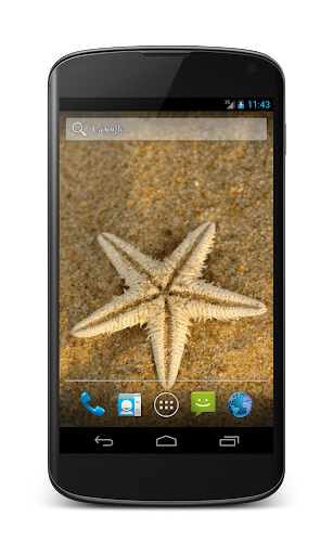 【免費個人化App】Sea Star Wallpaper-APP點子