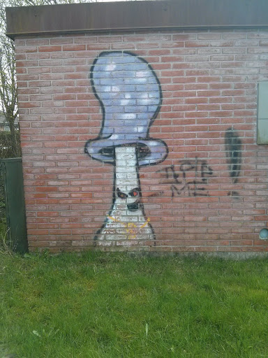 Mushroom Graffiti