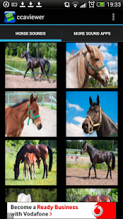 How to download Free Horse Sounds App 1.2 apk for bluestacks