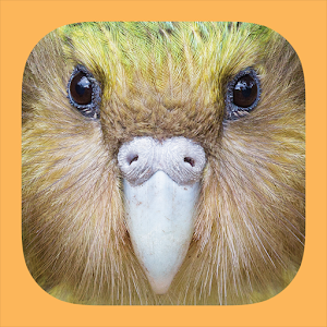Birds of New Zealand 1.0.0