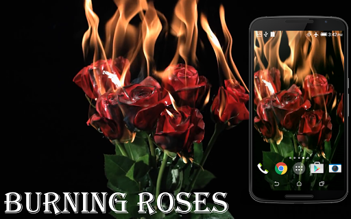 Burning Roses Live Wallpaper