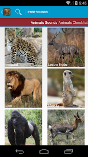 Safari Animal Sounds and List(圖3)-速報App