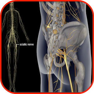 download Hollow Structural Section