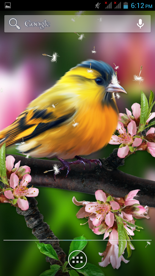   3D Birds Live Wallpaper- screenshot  