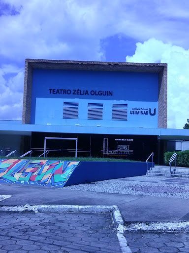 Teatro Zelia Olguin