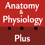 Anatomy & Physiology Cards 1.4 Icon