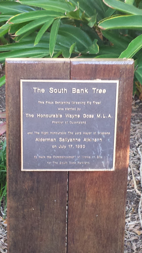 The South Bank Tree Plaque