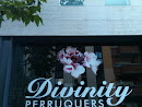 Divinity Perruquers