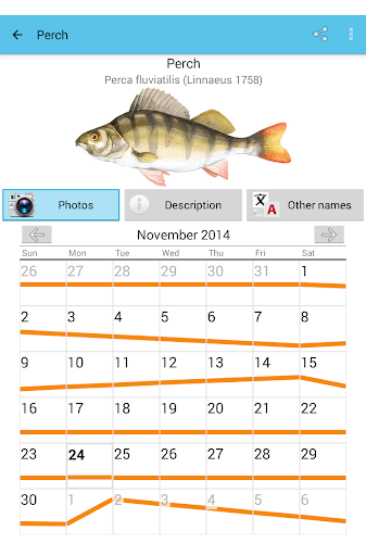 Fish Planet Calendar