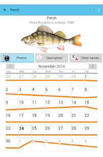 Lastest Fish Planet Calendar APK for Android