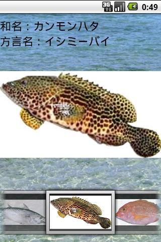 沖縄釣魚図鑑のおすすめ画像3