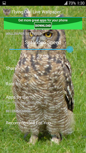 Flying Owl Live Wallpaper(圖7)-速報App