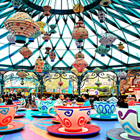 Disneyland by Sajal Gupta - City,  Street & Park Amusement Parks