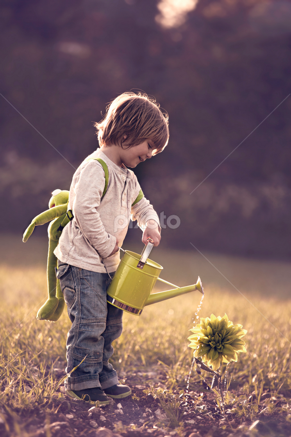 Little Gardener by Claire Conybeare - Chinchilla Photography - Babies & Children Toddlers