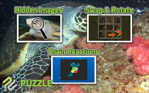 【免費解謎App】Ocean Turtles Puzzle Games-APP點子