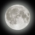 Handy Moon 2010 logo