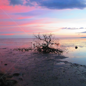 Still Alone by Kristal Jiwa - Landscapes Beaches