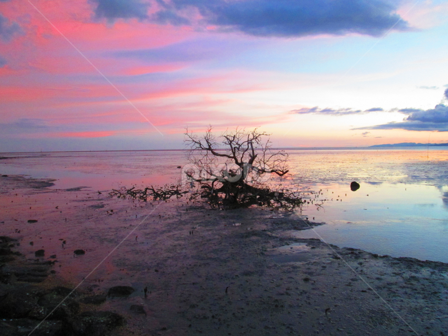 Still Alone by Kristal Jiwa - Landscapes Beaches