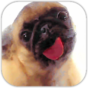 Dog Lick Screen Cleaner 3.6.3 Icon