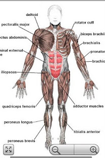 Human Anatomy Pro(圖3)-速報App