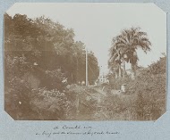 De Combé-weg en brug over de Sommeldijksche kreek