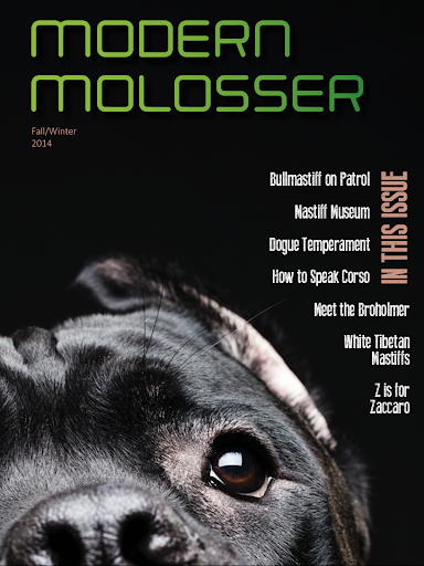 Modern Molosser Magazine