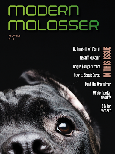 【免費新聞App】Modern Molosser Magazine-APP點子