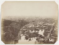 Grotbewoners bij Dogashima