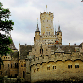 Marienburg Castle by Rumiana Doncheva - Buildings & Architecture Public & Historical