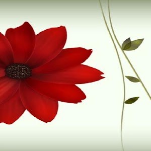 Perminssion Test1 1.0