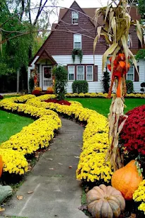Garden Design Ideas(圖3)-速報App